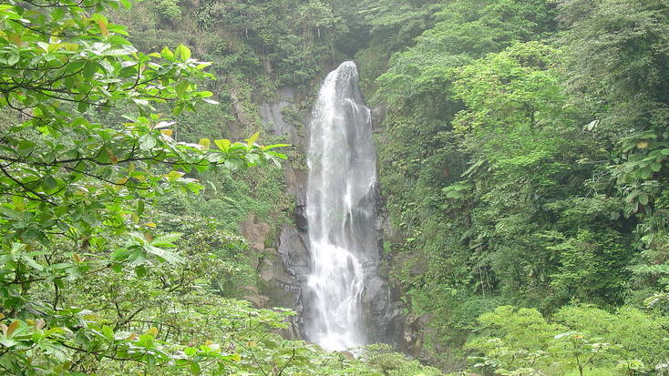 Discover stunning natural areas like the Trafalgar falls when you visit Dominica