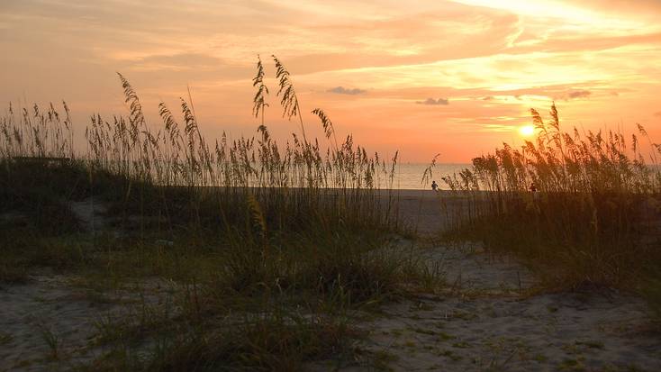 Enjoy a honeymoon on the Georgia coast