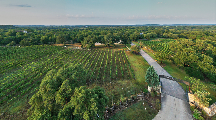 Fredericksburg, Texas, Wine country