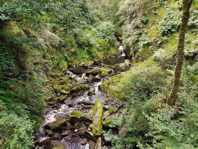 Explore the rugged beauty of the untouched Banagher Glen