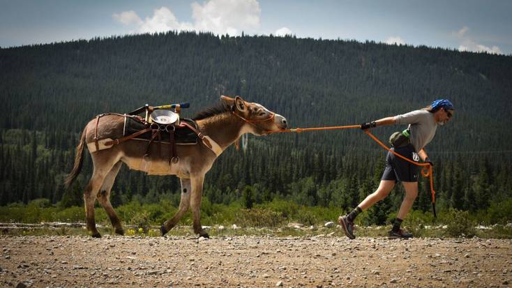 The pack burro race in Fairplay, Colorado, is one of the world's more unusual marathons