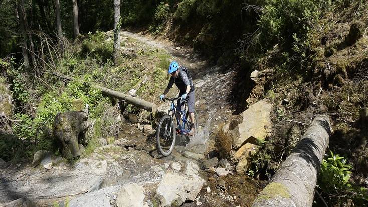 Go mountain biking in Coed y Brenin