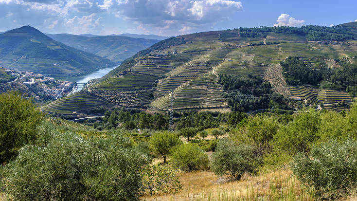Try Port wine, the most famous Portuguese wine, when you visit the Douro Valley