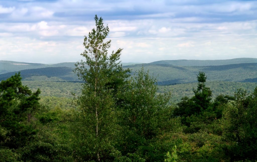 A view over forests in the Pocono Mountains