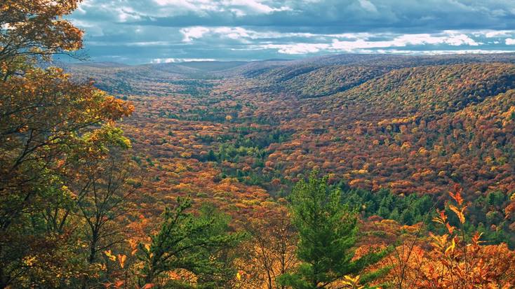 Explore the Appalachian Trail