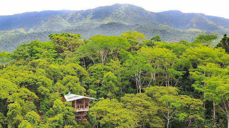 Stay in a Costa Rica tree house, a unique honeymoon destination