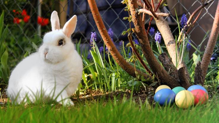 Find out about worldwide Easter traditions