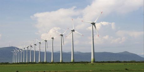An eco-friendly wind farm