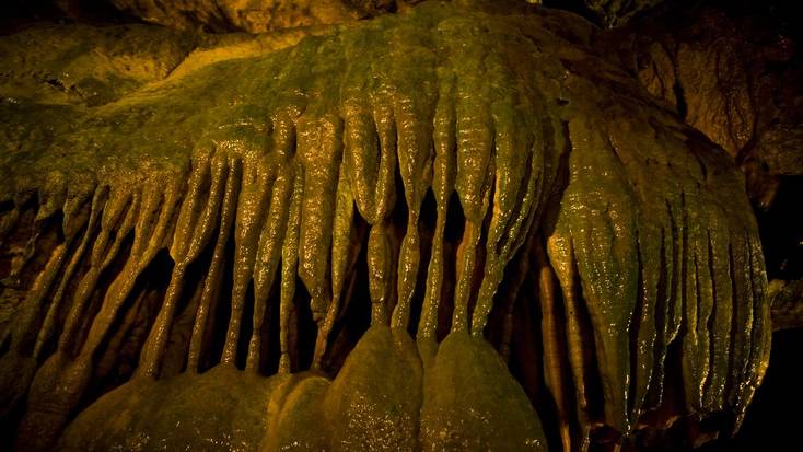 Exploring Linville Caverns is one of the best things to do in North Carolina on your family vacation