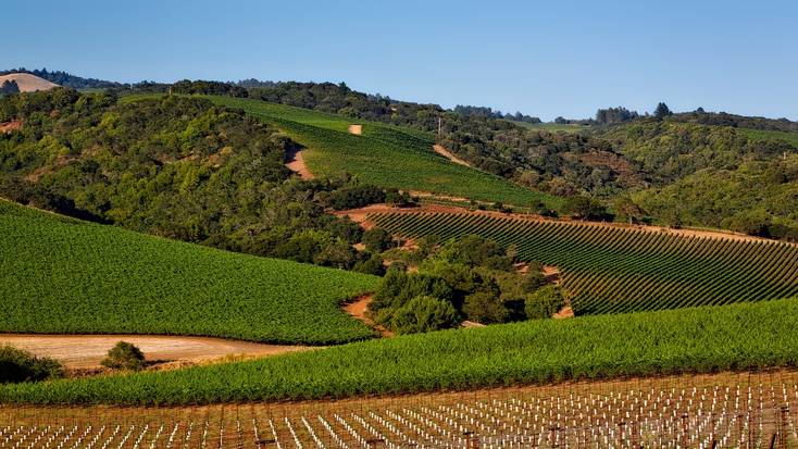 Napa is where to travel in March for wine connoisseurs