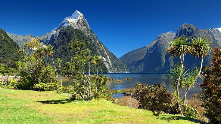 Mountains, fjords, and stunning fauna all await in New Zealand