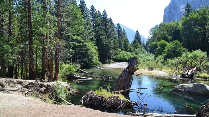 Sequoia, one of the best national parks to visit in spring