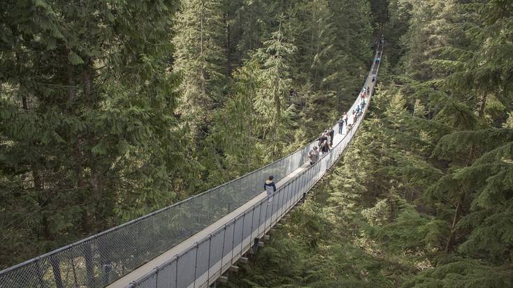 Visit the Capilano Suspension Bridge. Unusual things to do on Victoria Day 2020