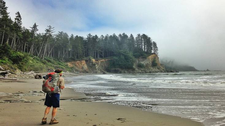 Explore forests and coastline in Olympic National Park, Washington State