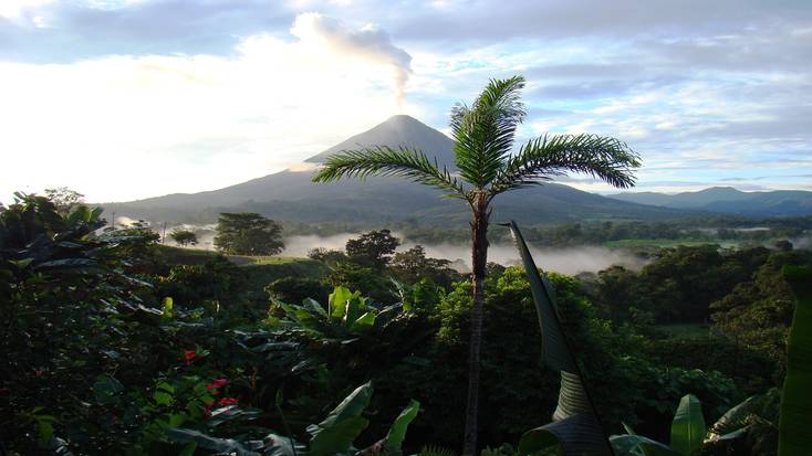 Head into the rainforest, the home of Costa Rica wildlife