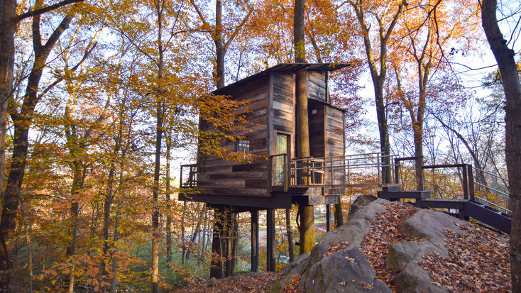 Another one of Joy's stunning tree houses in woodland