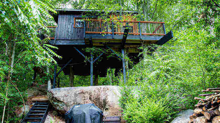 The outside area of the tree house