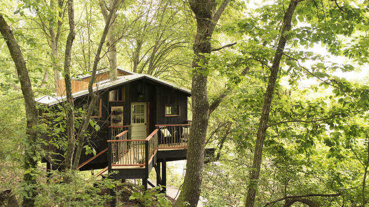 A rustic tree house in woodland