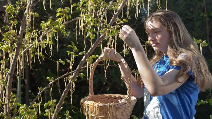 1957 saw the Swiss Spaghetti harvest prank played on the British public by the BBC