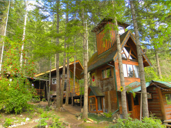 Stay in a unique tree house rental near Shuswap Lake