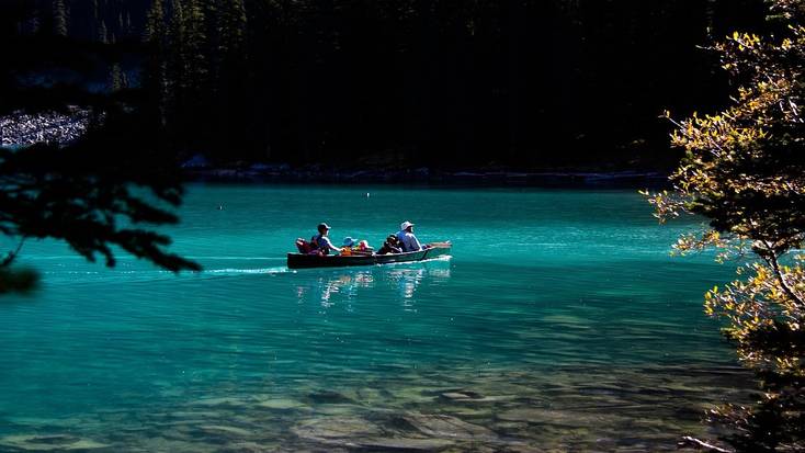 Head to Banff National Park for a dog-friendly vacation