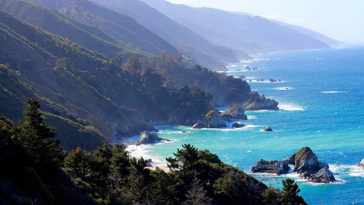 Check out the dog-friendly beaches in Big Sur