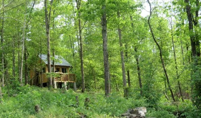 A cabin in the woods in Missouri