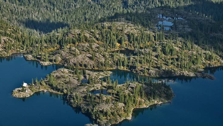 An aerial view of the forested Vancouver Island coastline