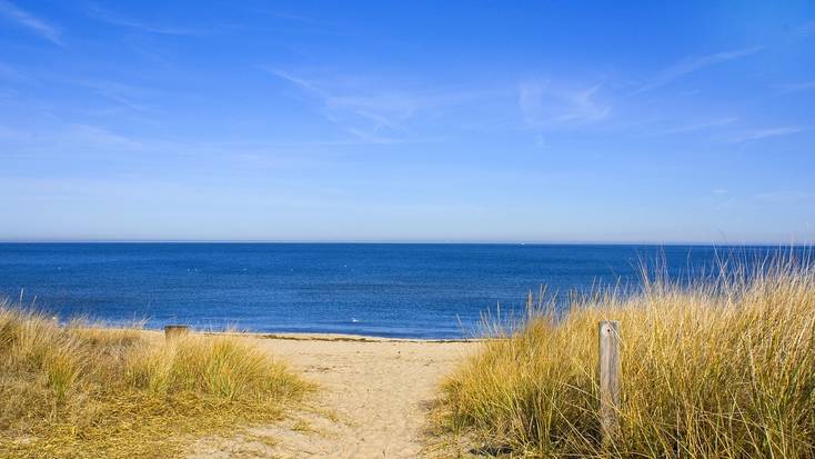 Book a vacation at one of the stunning Virginia beaches and add in a beach house rental
