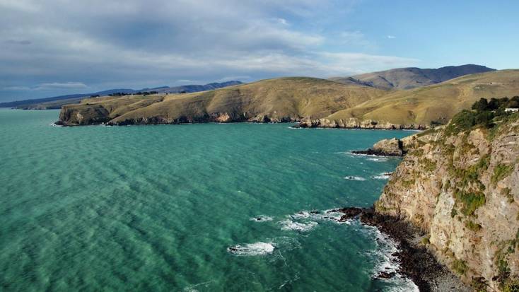 Go swimming with dolphins in Akaroa, New Zealand