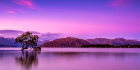 The Best Holidays in New Zealand for a staycation in 2021