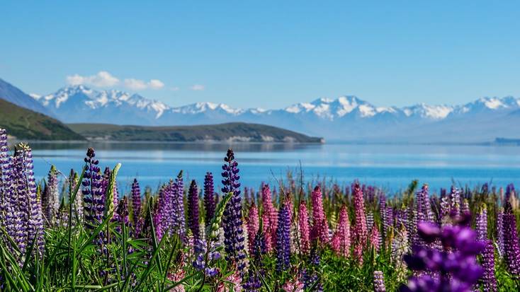 Spend your holidays in New Zealand at Lake Tekapo