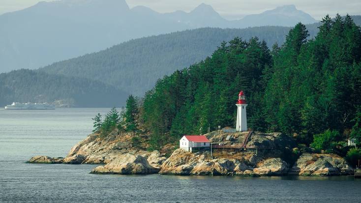 Go dolphin watching in Vancouver, BC