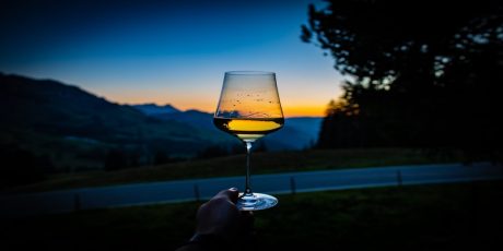 The Best Wine Regions in California: Travel Guide 2022