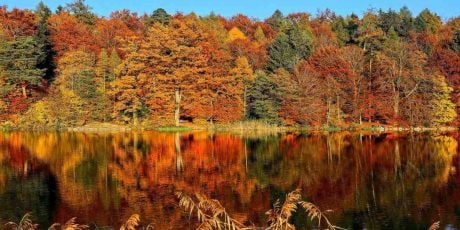 View from lakeside of fall foliage: Weekend getaways 2022