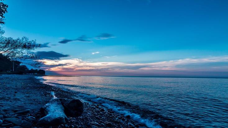 Go bird watching at Lake Erie, Ohio