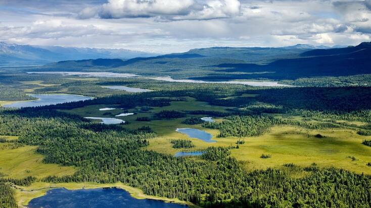 A birds eye view over the forests and lakes in Denali National Park