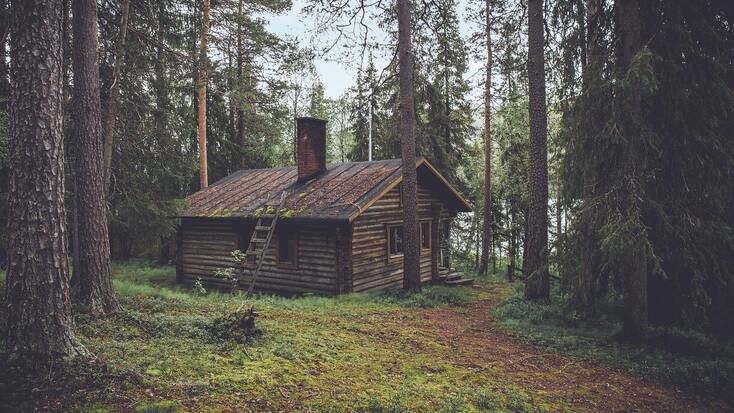 Cozy cabin surrounded by the forest for a long weekend escape