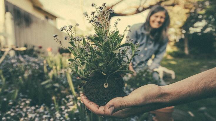 garden sustainably 