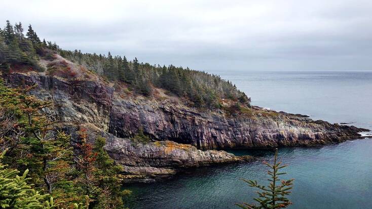 The rugged Newfoundland coastline