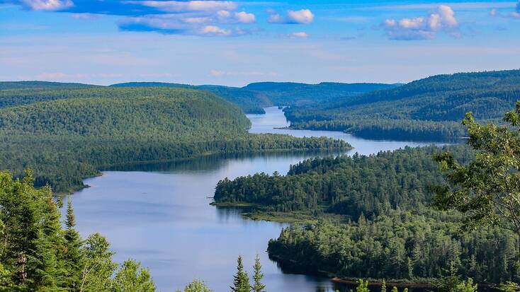 A view over a river in Ontario