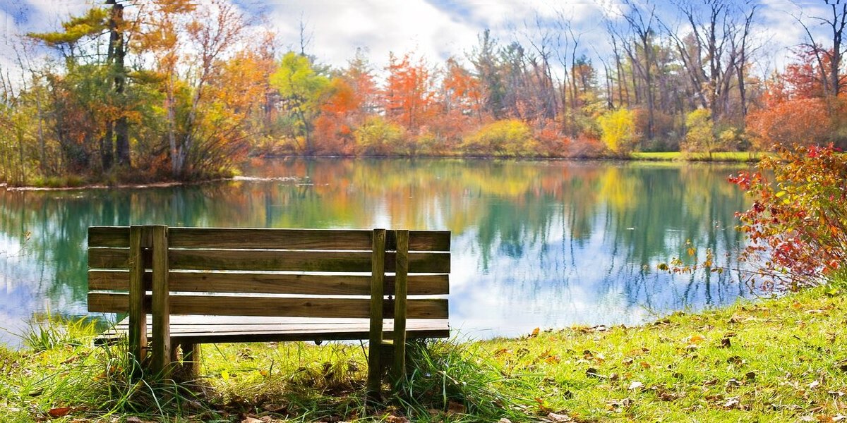 Bench overlooking Lake during Fall