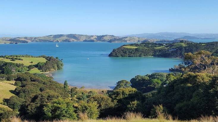 A  view over a beach on Waiheke Island