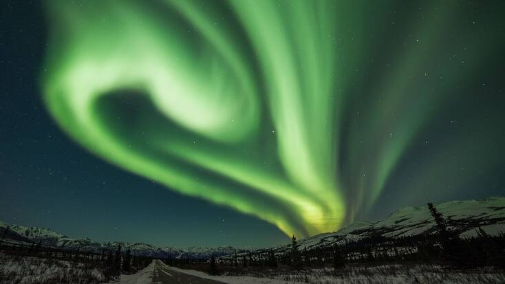 See the Northern Lights in the Denali National Park