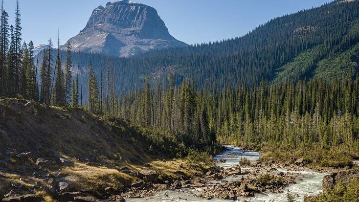 Spend time in the great outdoors close to home