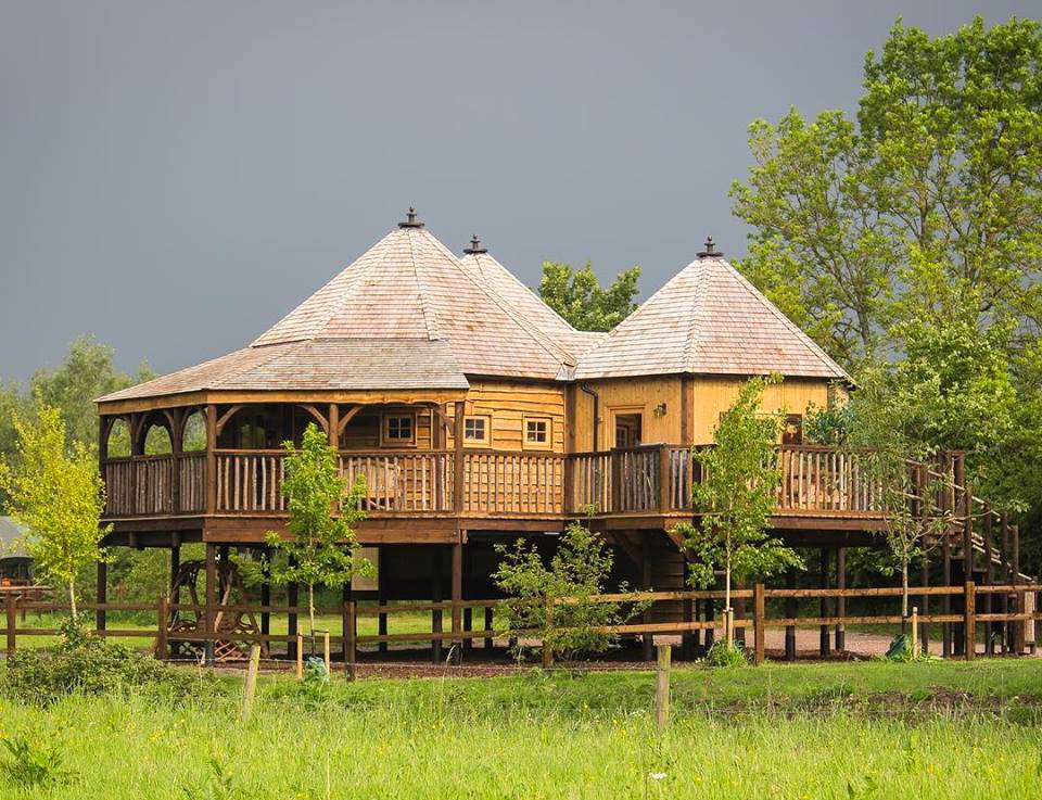 view of UK tree house in Wiltshire in middle of a rainy landscape in countryside. 