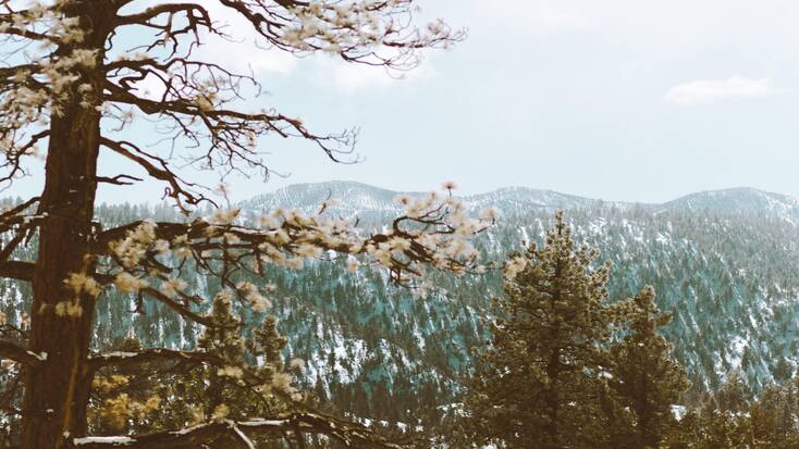 The mountains near Big Bear Lake, one of the best places to go in December