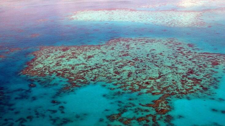 Best beaches in Australia to see the Great Barrier Reef