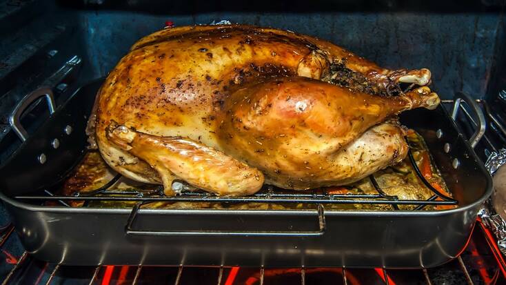 How long to cook a turkey in the oven for Thanksgiving 2020
