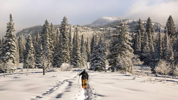 Cross country skiing in Steamboat